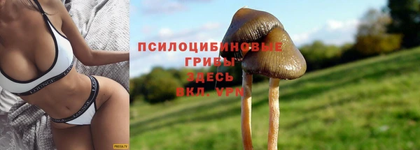 apvp Касимов