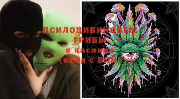 apvp Касимов