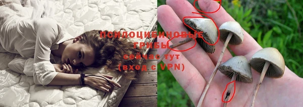 герыч Карпинск