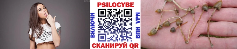 Купить  Волоколамск  Псилоцибиновые грибы мухоморы 